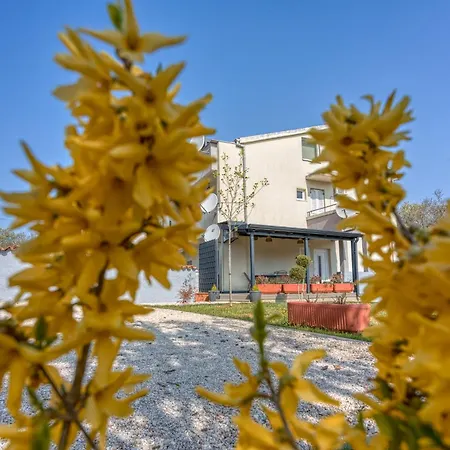 Petricija With Garden Apartment Porec
